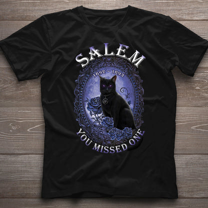 You Missed One - Halloween Witch T-shirt and Hoodie