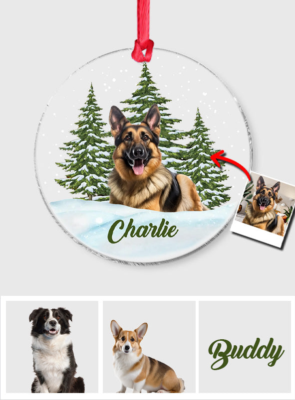 Merry Christmas - Personalized Dog Transparent Ornament