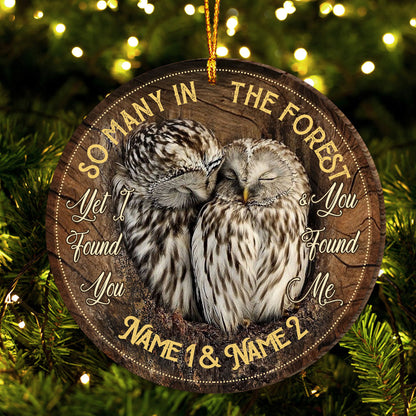 I Found You And You Found Me - Personalized Owl Ornament