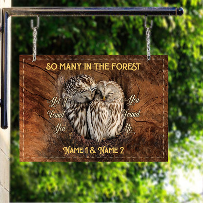 I Found You And You Found Me - Personalized Owl Rectangle Metal Sign