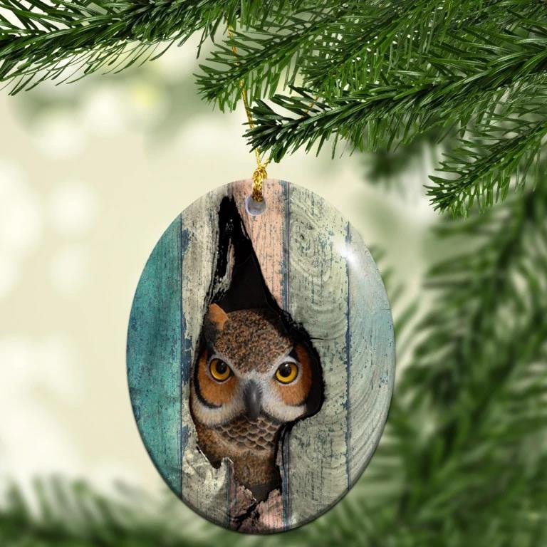Owl In Unique Nest Pattern - Owl Ornament (Printed On Both Sides) 1122