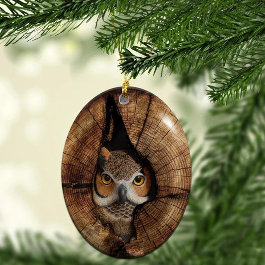 Owl In Brown Nest Oval - Owl Ornament (Printed On Both Sides) 1122