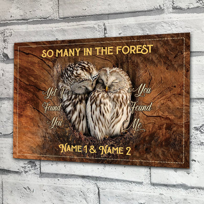 I Found You And You Found Me - Personalized Owl Rectangle Metal Sign
