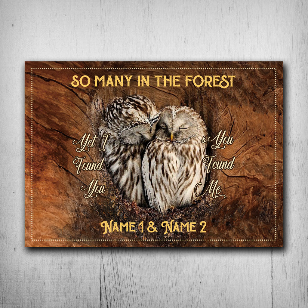 I Found You And You Found Me - Personalized Owl Rectangle Metal Sign