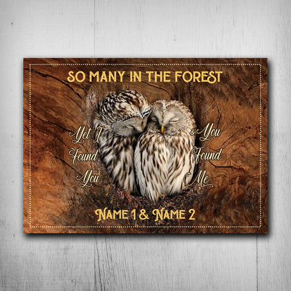 I Found You And You Found Me - Personalized Owl Rectangle Metal Sign