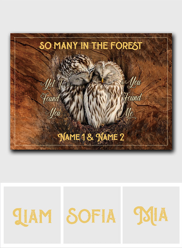I Found You And You Found Me - Personalized Owl Rectangle Metal Sign