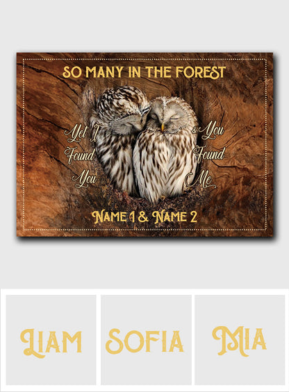 I Found You And You Found Me - Personalized Owl Rectangle Metal Sign