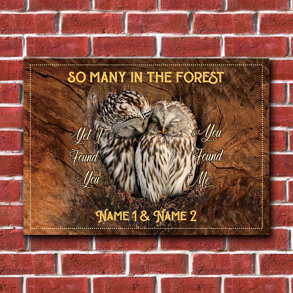 I Found You And You Found Me - Personalized Owl Rectangle Metal Sign