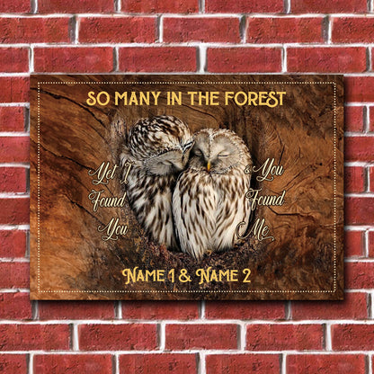 I Found You And You Found Me - Personalized Owl Rectangle Metal Sign